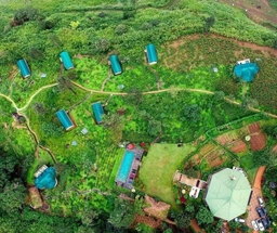 Madulkelle Tea and Eco Lodge Logo