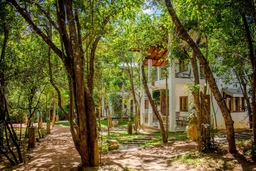 Amaara Forest Hotel Sigiriya Logo