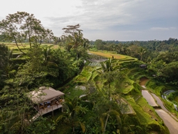 Nadi Nature Resort Logo