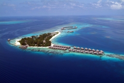 Coco Bodu Hithi Logo