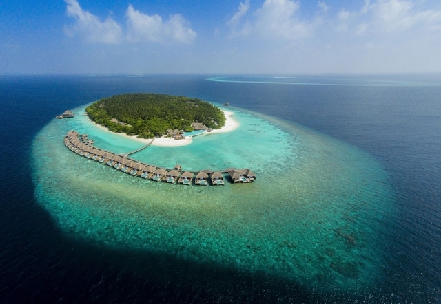 Dusit Thani Maldives Logo